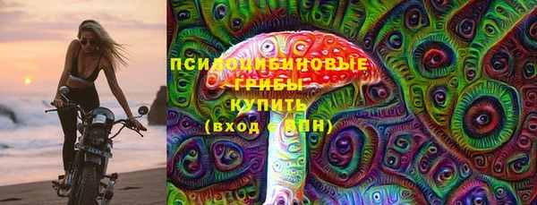 ГАЛЛЮЦИНОГЕННЫЕ ГРИБЫ Баксан