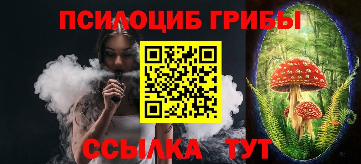 Галлюциногенные грибы Psilocybe  Вход с VPN  Коломна 